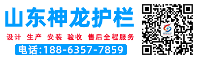 山东-防撞护栏-桥梁护栏-灯光护栏-厂家 - 山东神龙金属制造有限公司